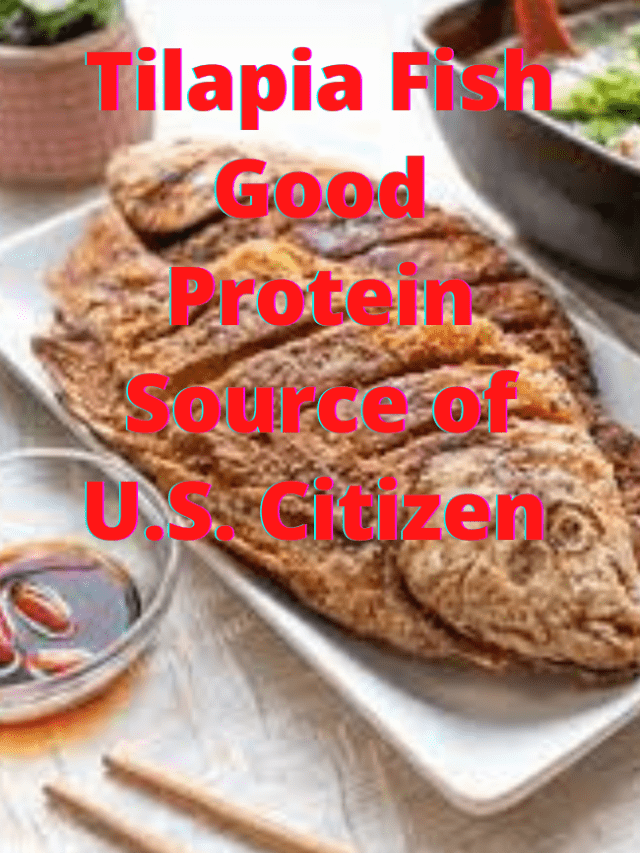 Read more about the article Tilapia Fish Good Protein Source of U.S. Citizen