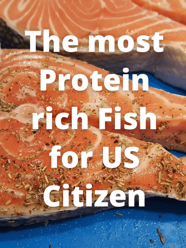 Read more about the article Most Protein rich Fish for US Citizen