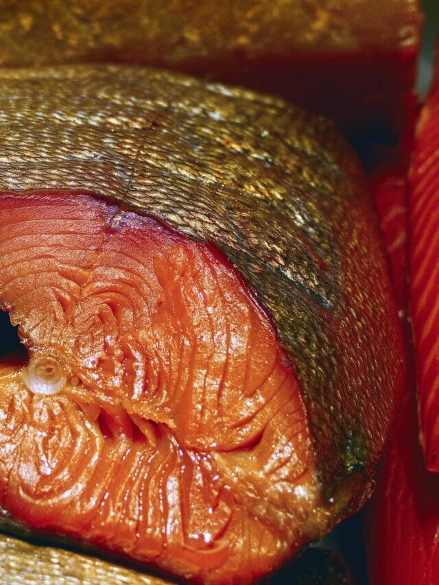 Read more about the article EEL Can Complete Your Daily Nutritional Deficiency